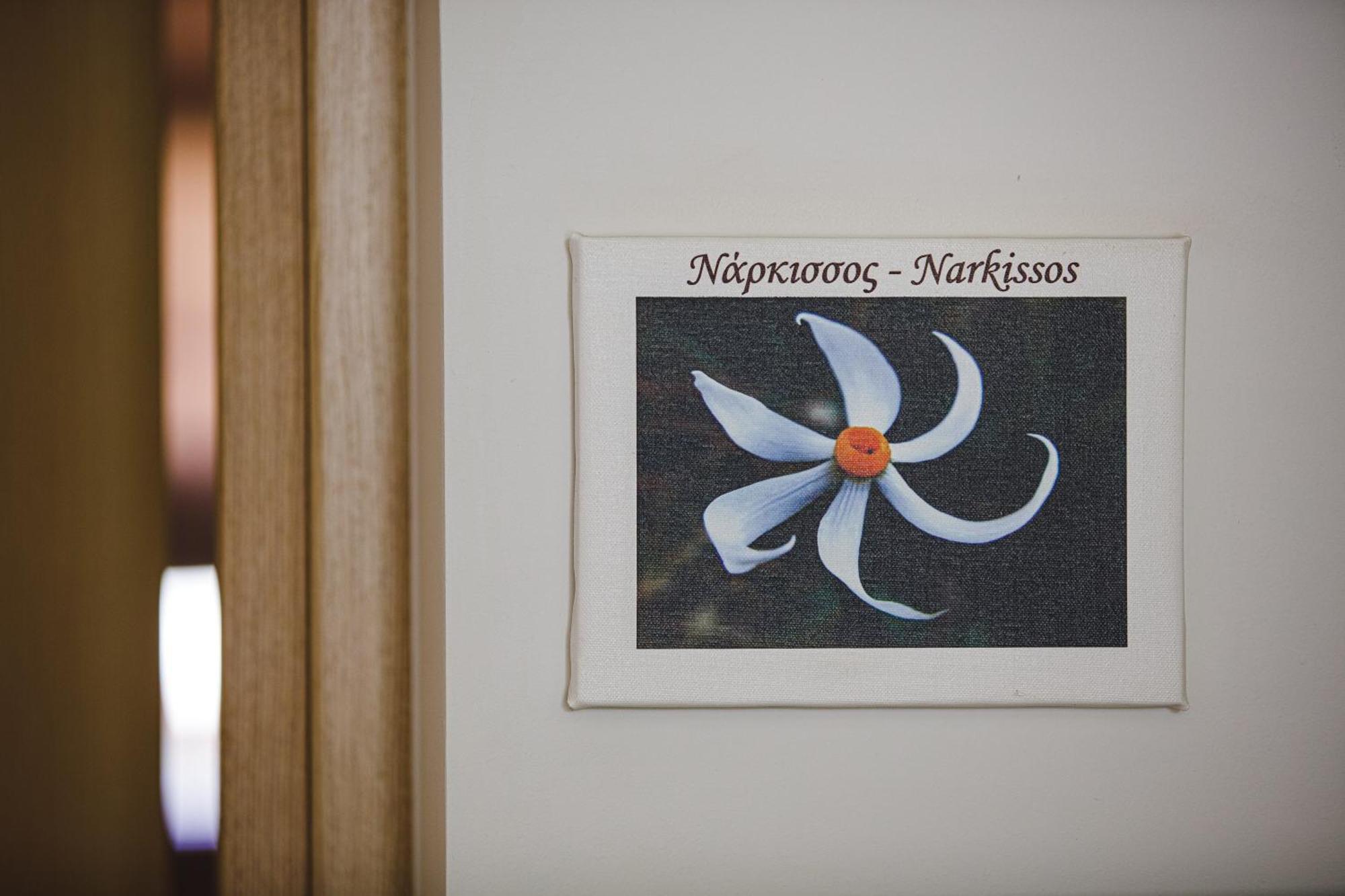 Z Boutique Hotel Pánormos 部屋 写真
